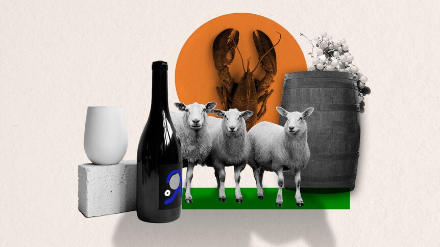 A graphic在印度国旗下展示葡萄酒、葡萄、龙虾和绵羊。